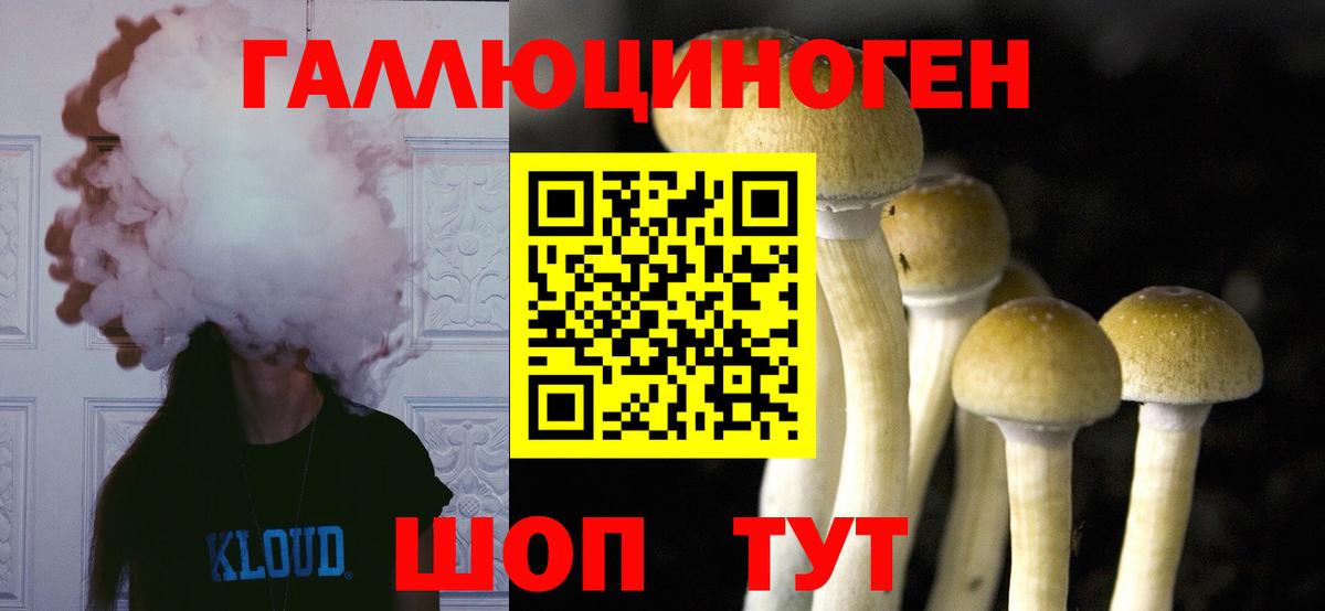 Шарыпово  Псилоцибиновые грибы ЛСД  где найти   Вход с VPN 